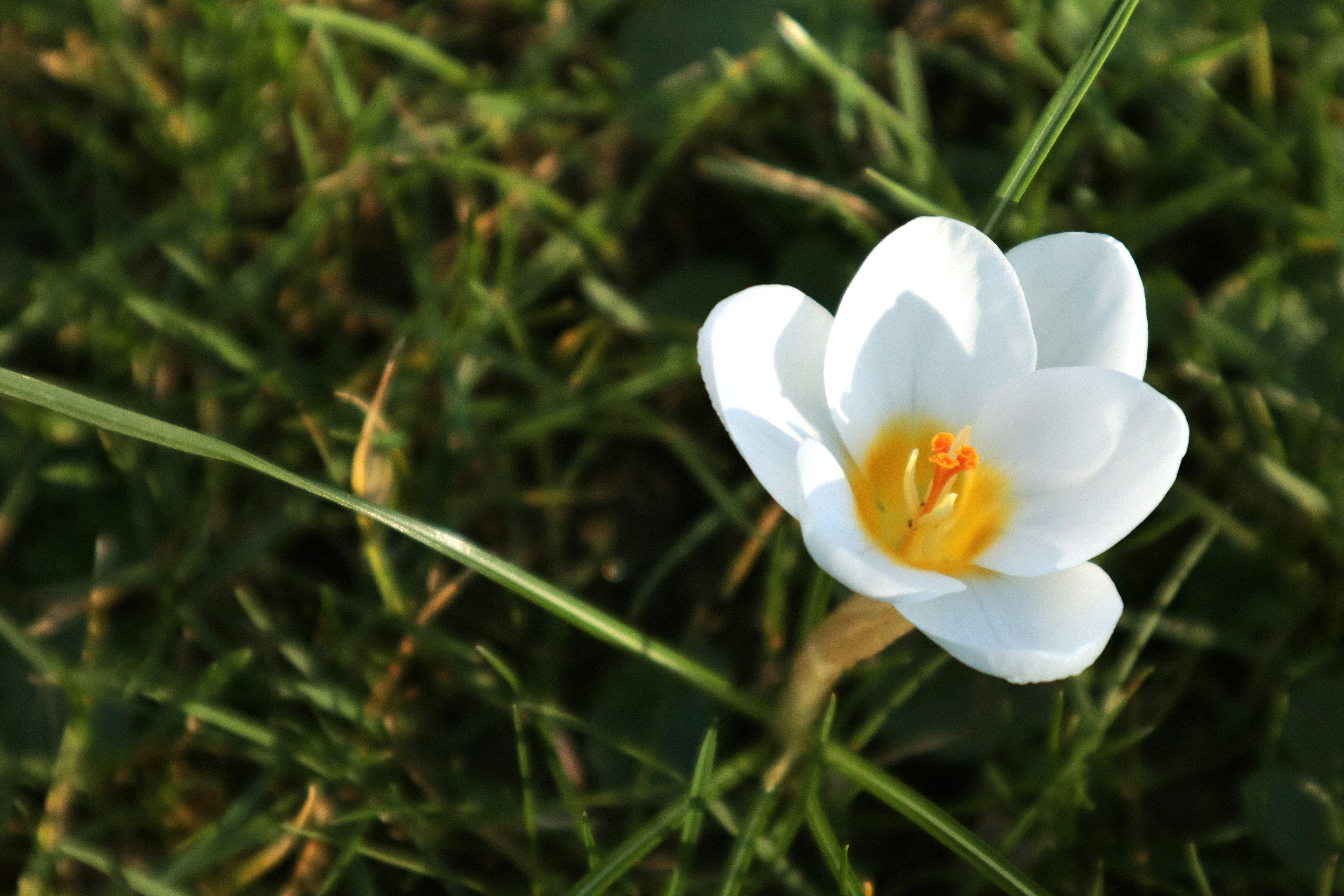 花粉症に季節に