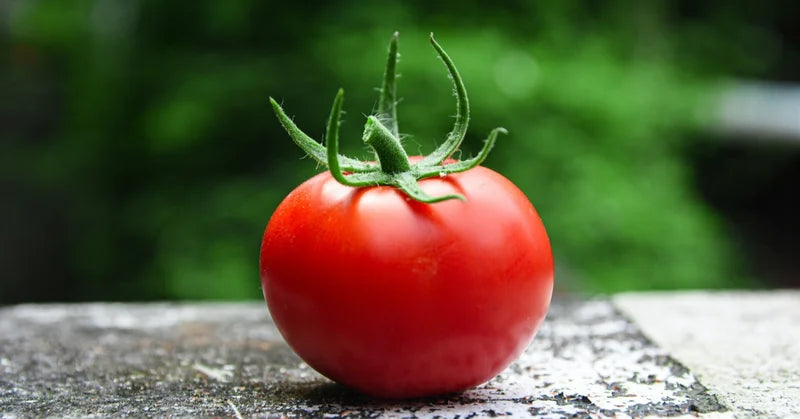 【旬にとるべき野菜や果物】-夏-