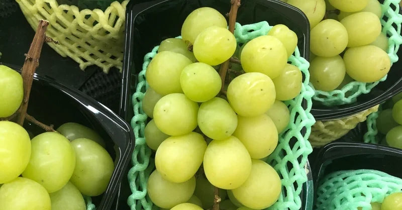 Fruit History] Shine Muscat