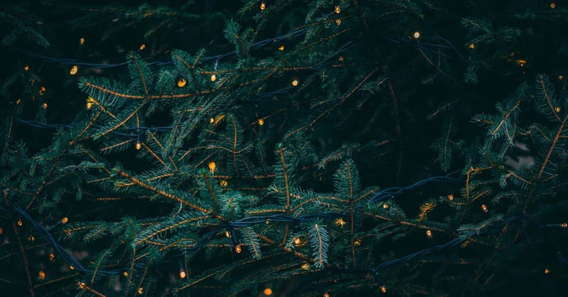 クリスマスが浸透したきっかけ
