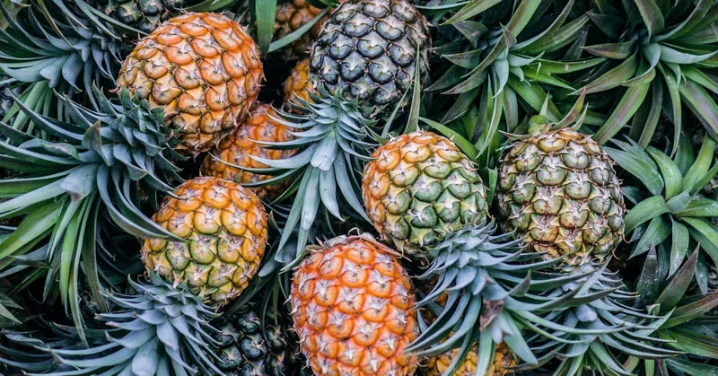 Seasonal fruit] Pineapple
