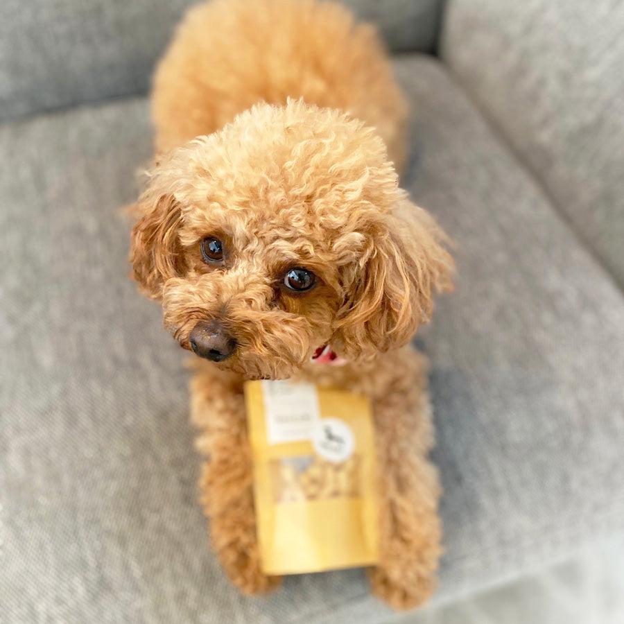 Snacks for natural dogs