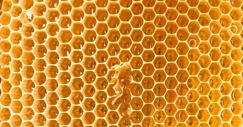 蜂蜜は風邪に効く？