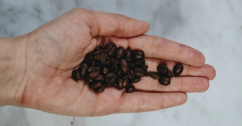 コーヒー豆の正体